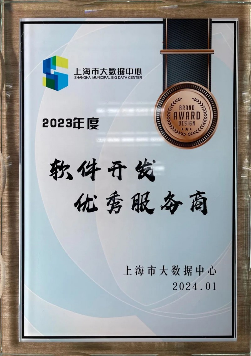 上海软件开发行业动态:创新与挑战并存